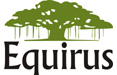 Equirus Capital Pvt Ltd Image