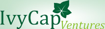 IvyCap Ventures Advisors Pvt Ltd Image