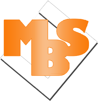 MSB e_Trade Securities Ltd Image