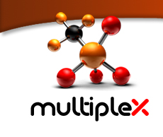 Multiplex Capital Ltd Image