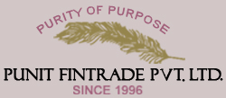 Punit Fintrade Pvt Ltd Image