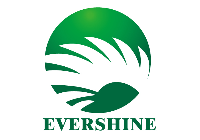 Evershine Group Image