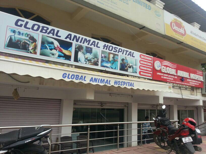 Global Animal Hospital - Trimulgherry - Hyderabad Image