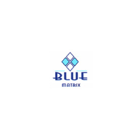 Blue Matrix Software Consultancy Pvt Ltd Image