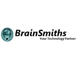 Brainsmiths Consultants Pvt Ltd Image