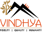 Vindhya E-Infomedia Pvt Ltd Image