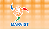 Marvist Digital Marketing Image