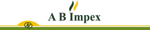 AB Impex Image