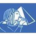 Panyam Cements & Mineral Industries Ltd Image