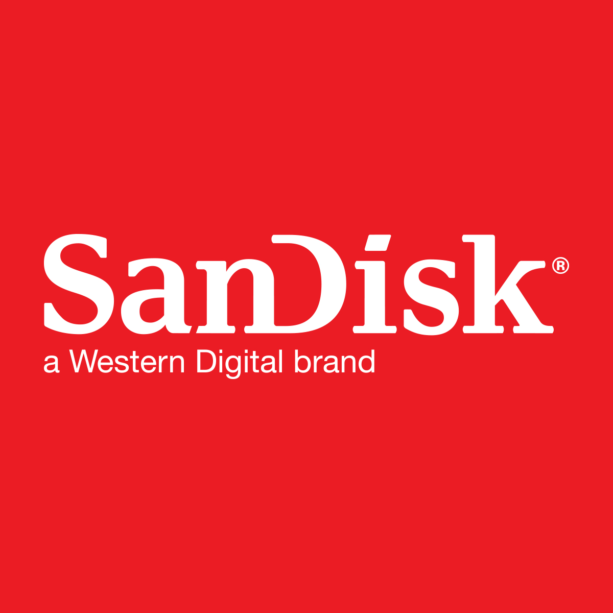 SanDisk Pen Drives Image