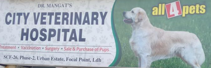 City Veterinary Hospital - Jamalpur Colony - Ludhiana Image