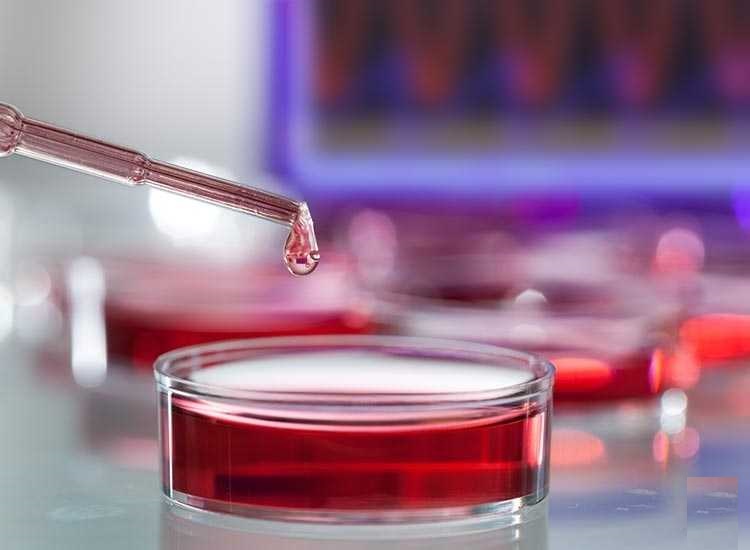 Shah Clinical Laboratory - Vashi - Navi Mumbai Image