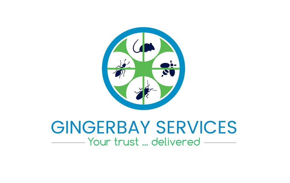 GingerBay Services Image