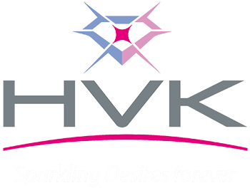 HVK International Pvt Ltd Image