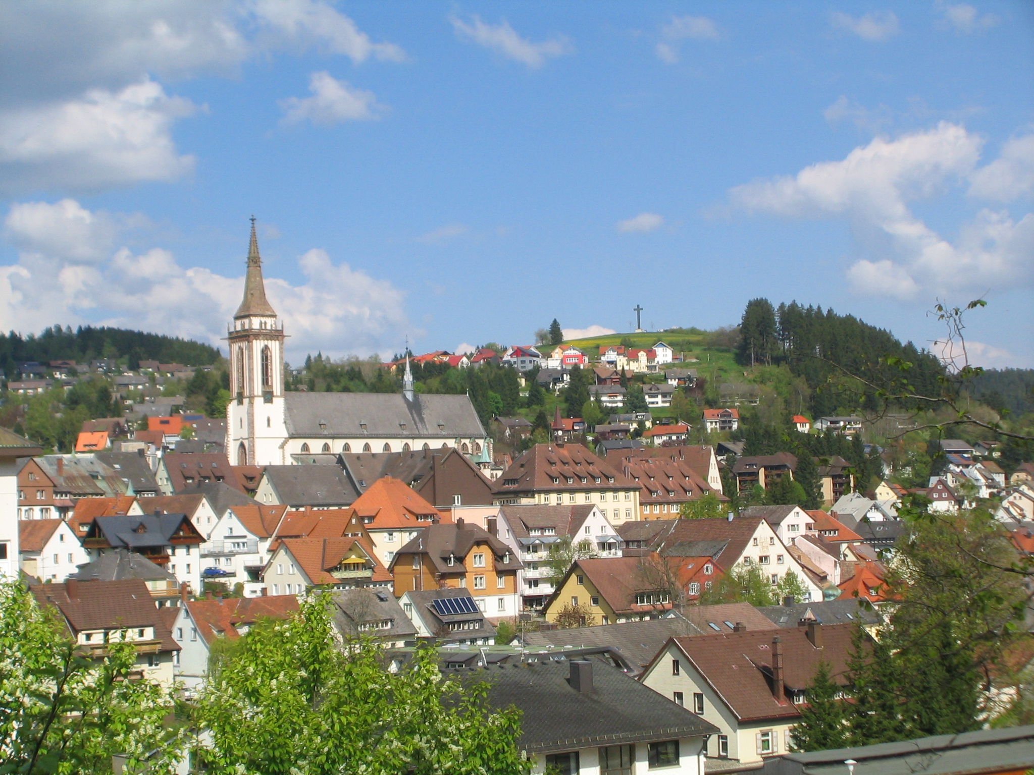 Titisee-Neustadt Image