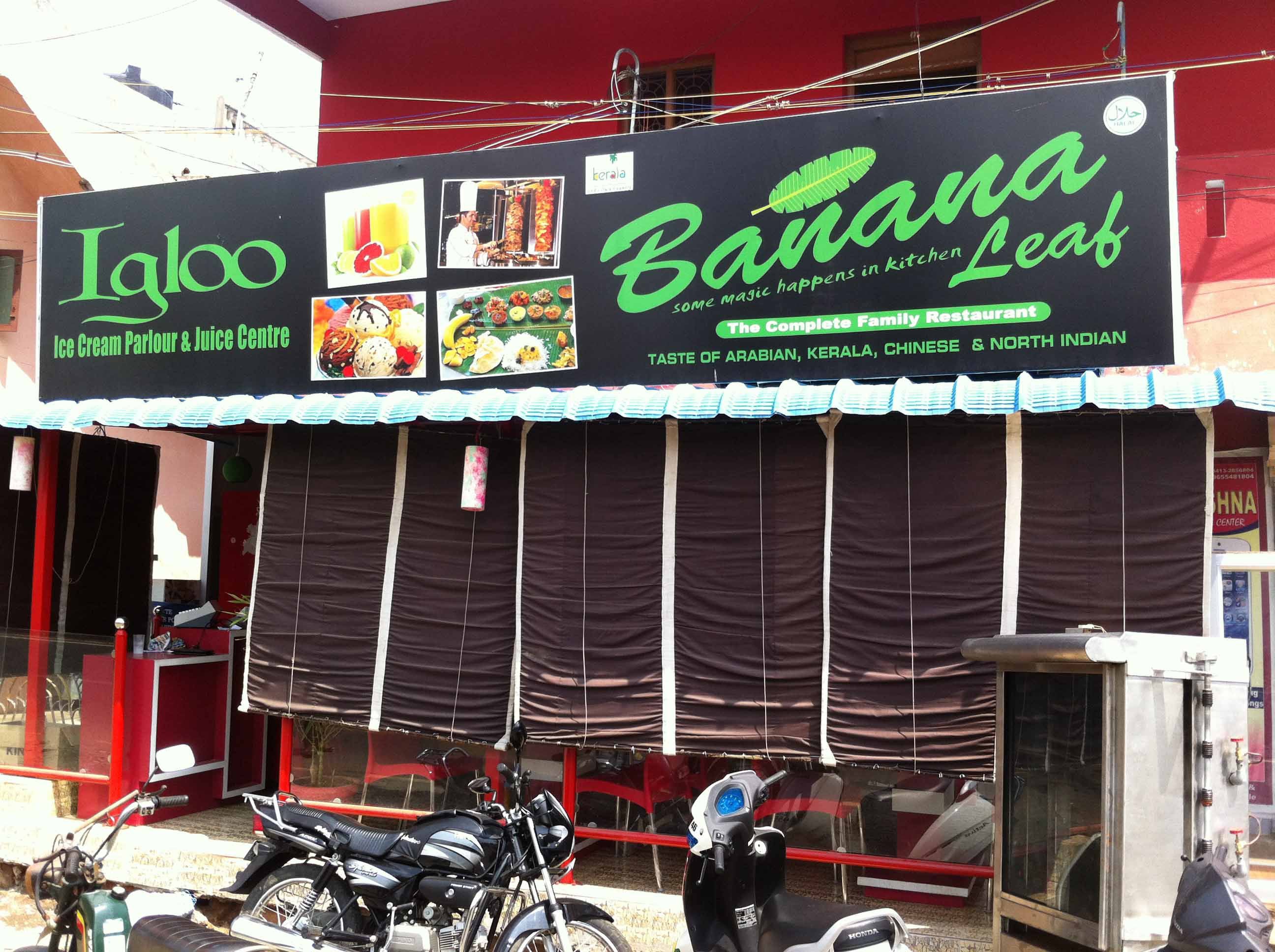 Banana Leaf - Auroville - Puducherry Image