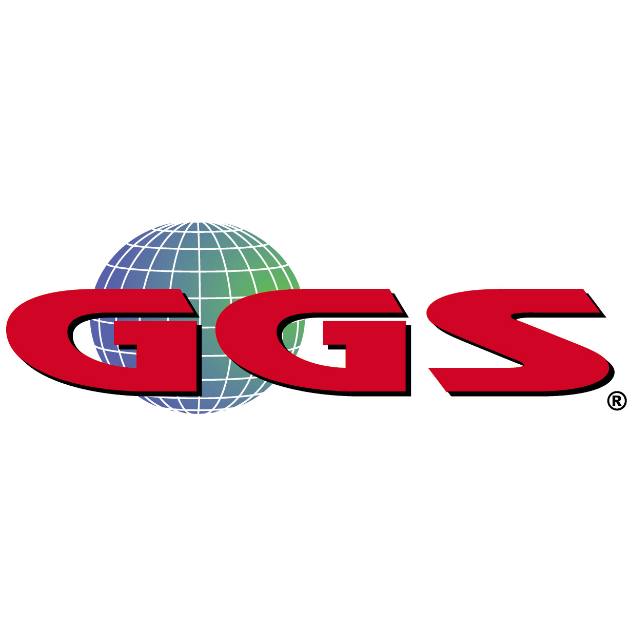 GGS Information Services India Pvt Ltd Image