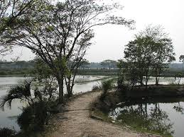 Machranga Dweep (Kingfisher Island) Image