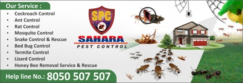 Sahara Pest Control Service Image