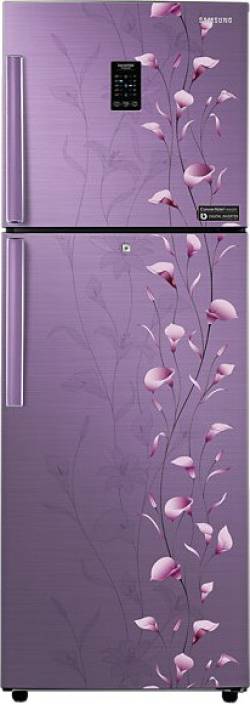 Samsung 253 L Frost Free Double Door Refrigerator (RT27JSMSAPZ) Image