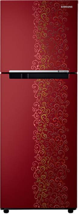 Samsung 253 L Frost Free Double Door Refrigerator (RT28K3022RJ/HL) Image