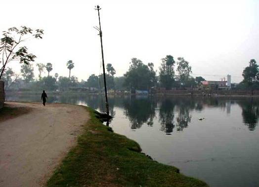Mangal Talab - Patna Image