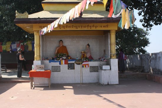 Ajapala Nigrodha tree - Bodhgaya Image