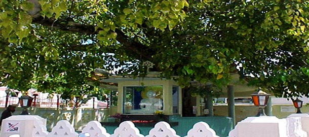 Animesh Lochan Chaitya - Bodhgaya Image