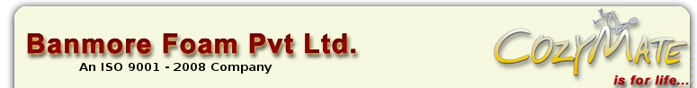 Banmore Foam Pvt Ltd Image