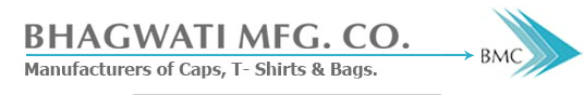 Bhagwati Mfg Co Image