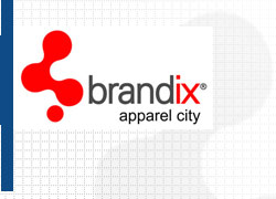 Brandix India Apparel City Pvt Ltd Image