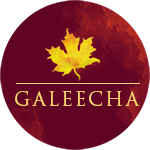 Galeecha India Pvt Ltd Image