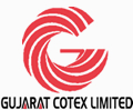 Gujarat Cotex Ltd Image