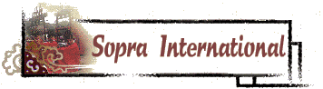 Sopra International Image