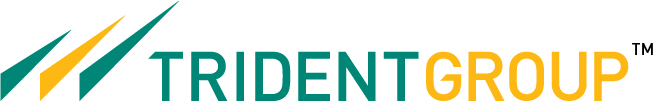 Trident Ltd (Trident) Image