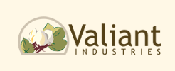 Valiant Glassworks Pvt Ltd Image