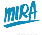 Mira Exim Ltd Image