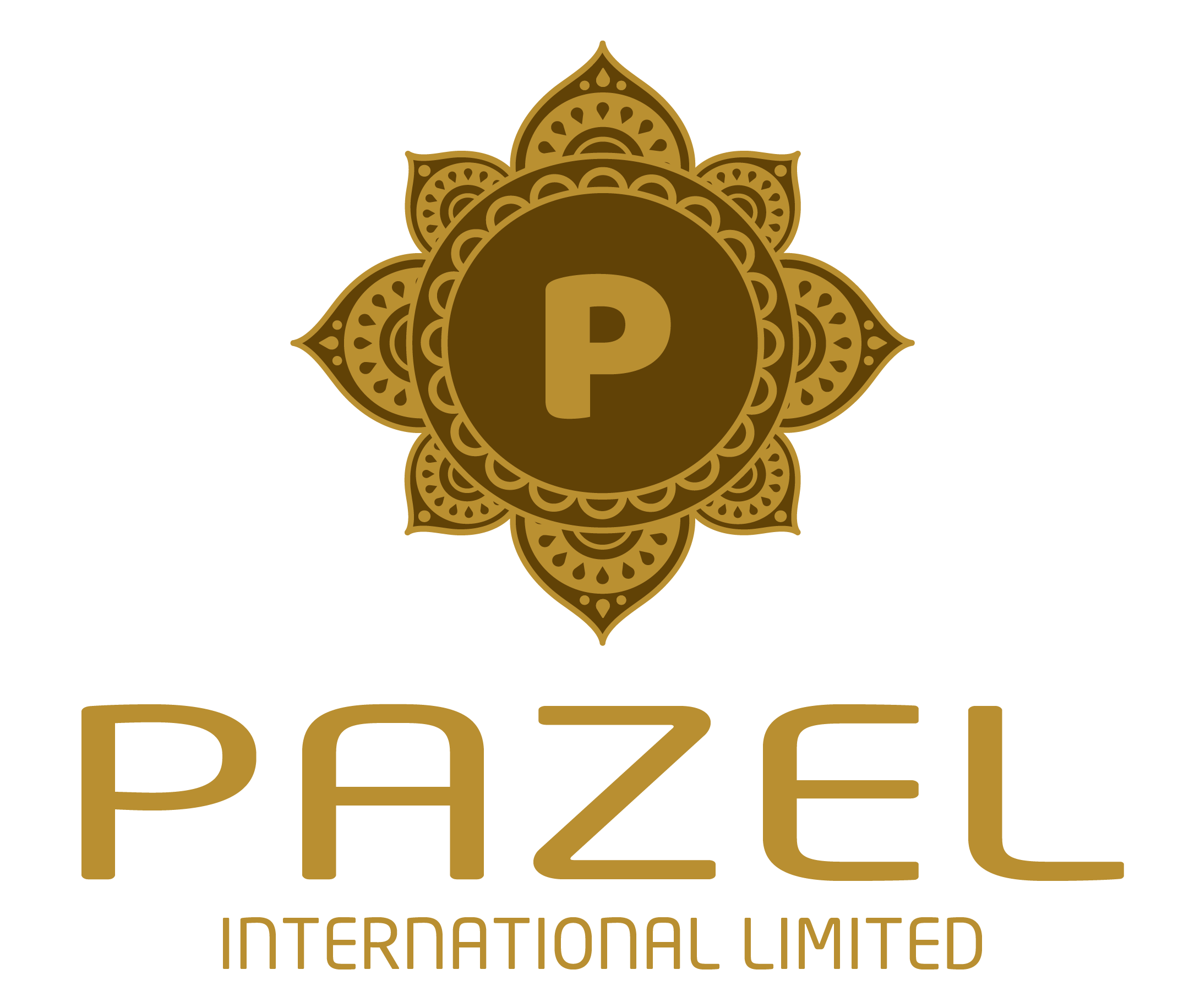 Pazel International Ltd Image