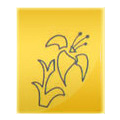 Vishuje Tex Image
