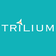 Trillium Mall - White Avenue - Amritsar Image