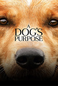A Dog's Purpose Image