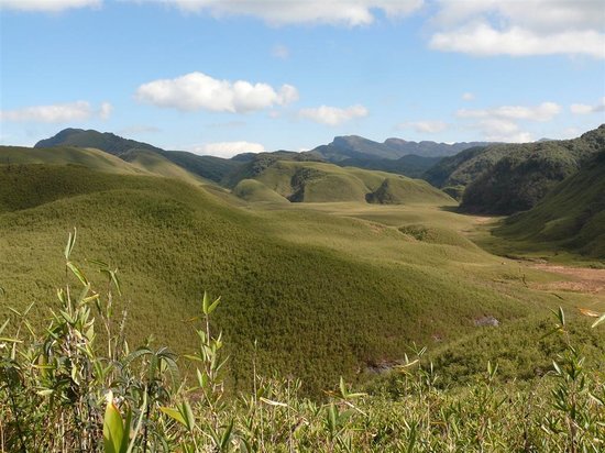 Dzukou Valley Image
