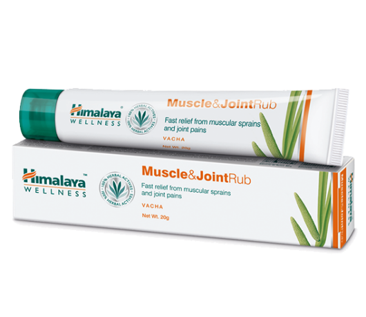 Himalaya Muscle & Joint Rub Image