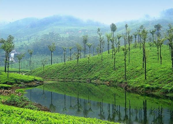 Valparai Image