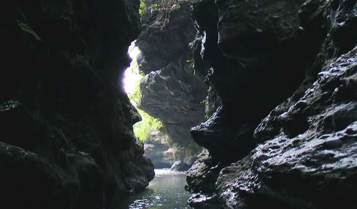 Robber's Cave - Dehradun Image