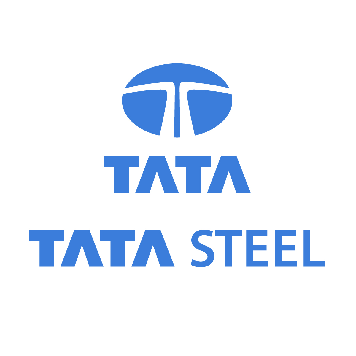 Tata Steel Ltd (Bearings Division) (TATA) Image