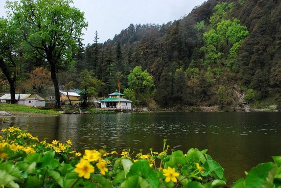 Dodital Lake - Uttarkashi Image