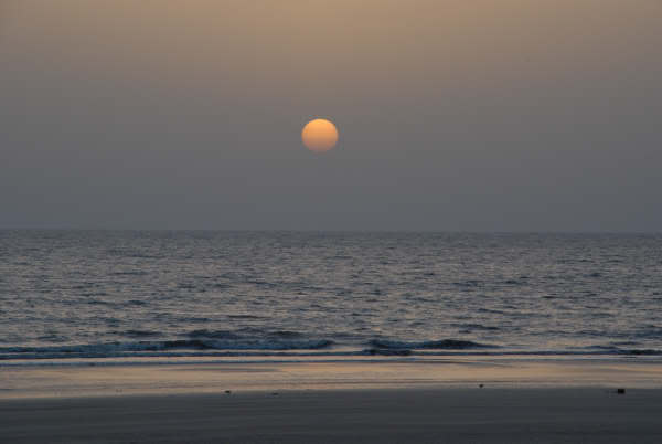 Rangaon Beach - Vasai Image