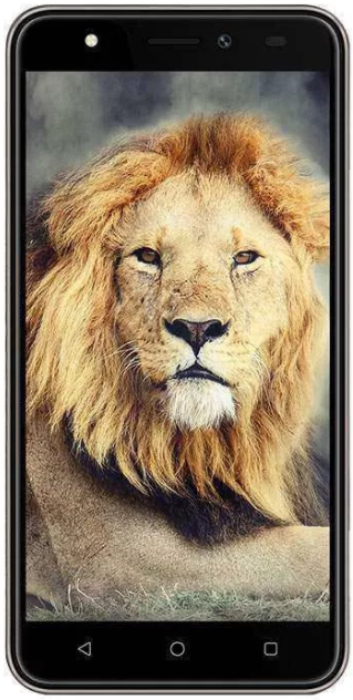 Intex Aqua Lions T1 Image