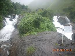 Attukal Waterfalls - Munnar Image